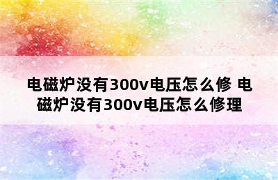 电磁炉没有300v电压怎么修 电磁炉没有300v电压怎么修理